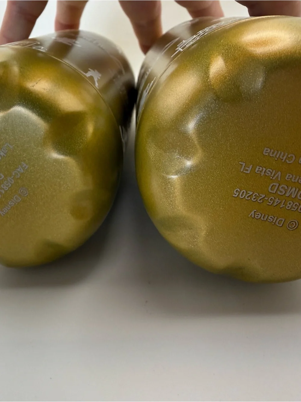 2 Disney Vacation Club DVC Member 2022 Gold Stainless Steel Water Bottles